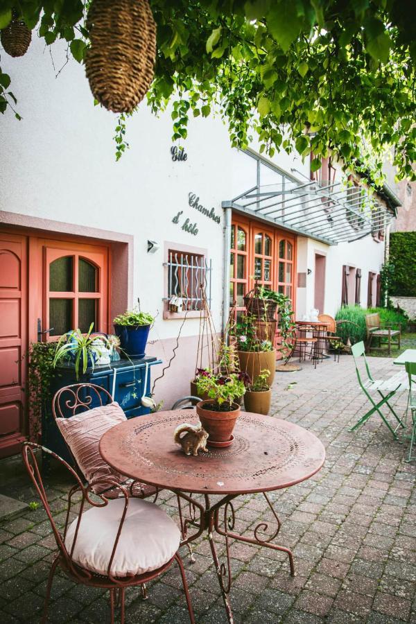 V I O L E T T E La Souris Des Champs Apartment Etival-Clairefontaine Exterior photo